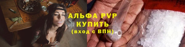 спиды Зеленокумск