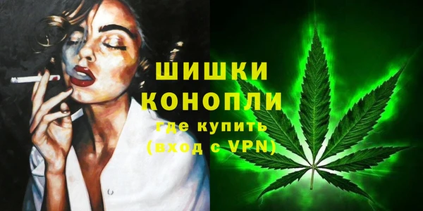 spice Зерноград